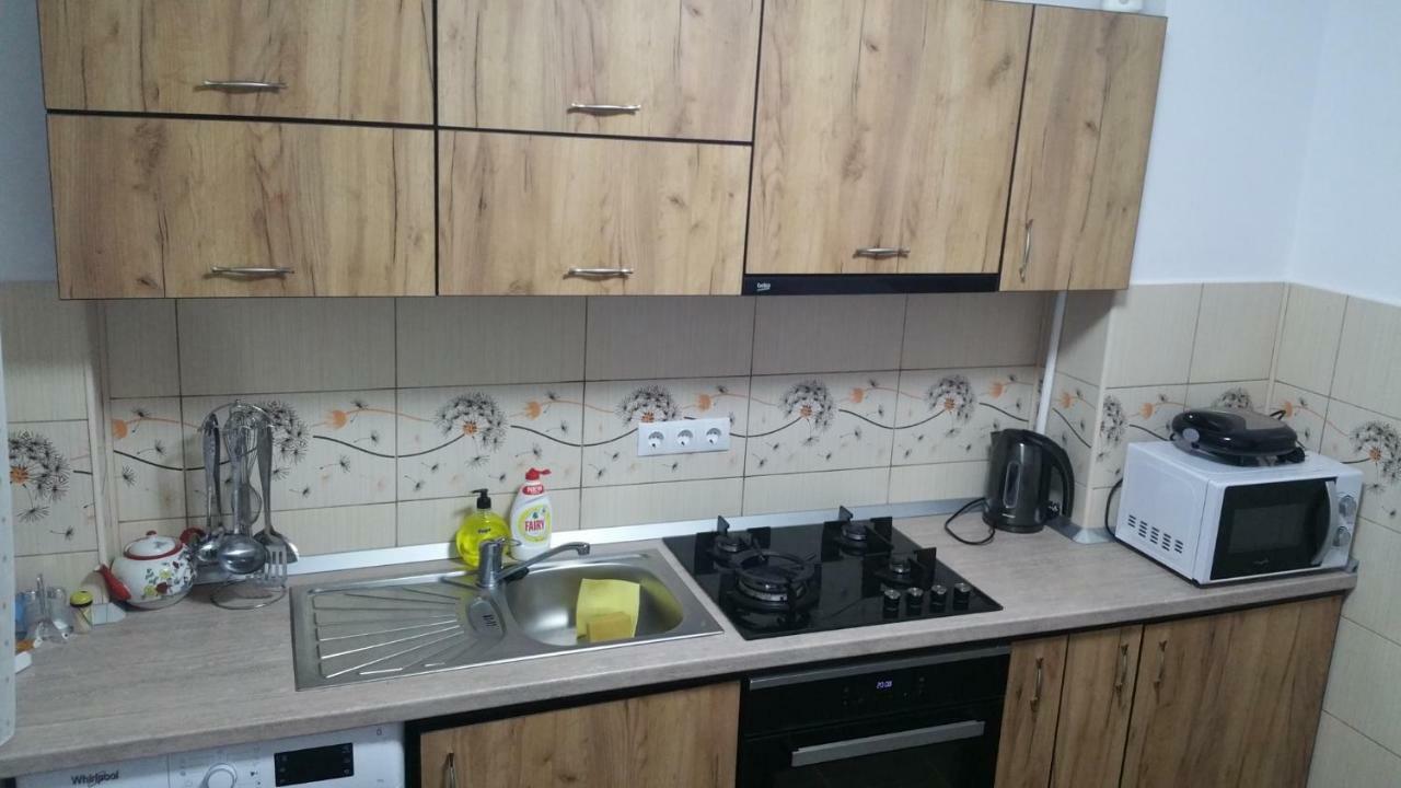 Apartament Lavinia Călimăneşti Exterior foto